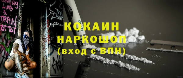 PSILOCYBIN Белокуриха