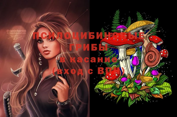 PSILOCYBIN Белокуриха