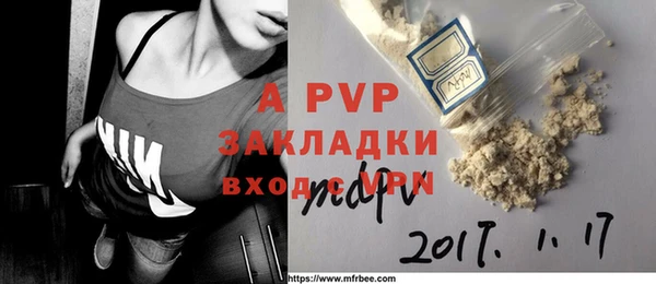 PSILOCYBIN Белокуриха