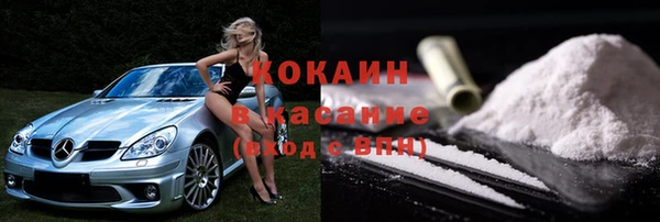 PSILOCYBIN Белокуриха