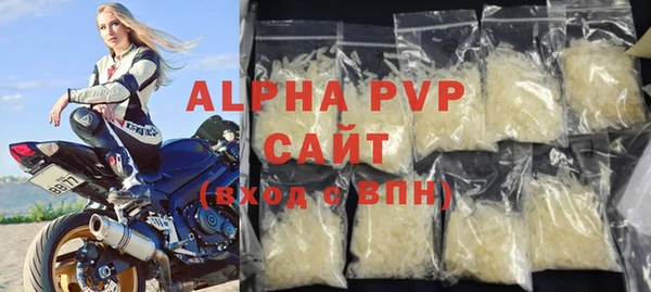 PSILOCYBIN Белокуриха