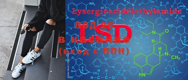 PSILOCYBIN Белокуриха