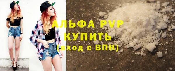 PSILOCYBIN Белокуриха